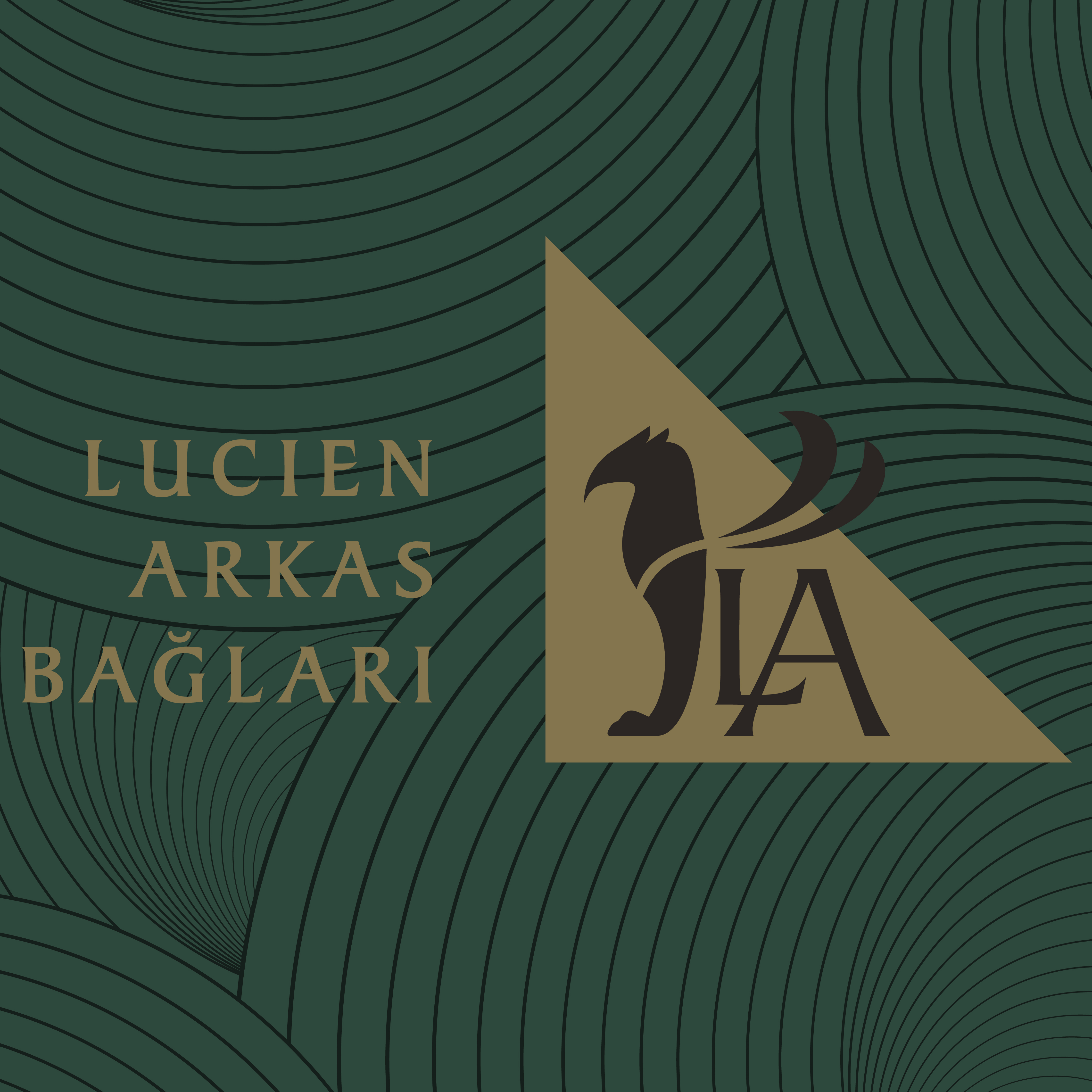 Antre Öküzgözü